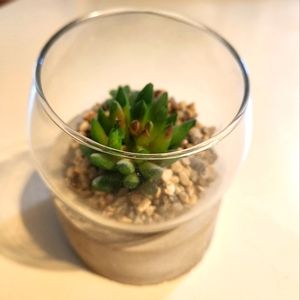 Artificial Cactus Decor